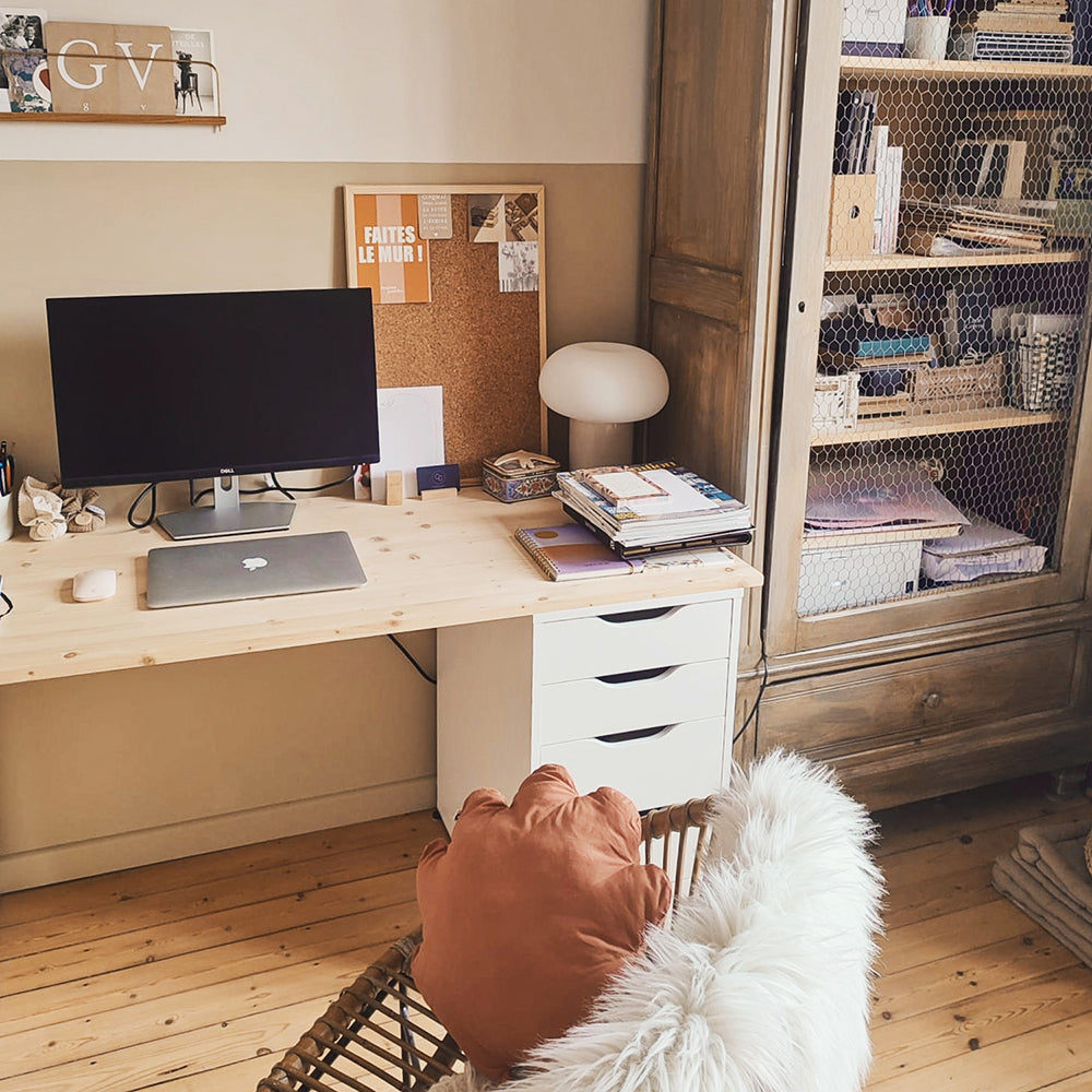 coussin-cosuillage-decoration-bureau-office